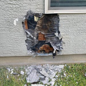 Stucco Repair